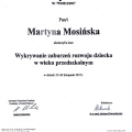 Powiększ obraz: certificate 11