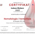 Powiększ obraz: certificate 387