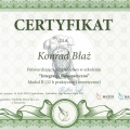 Powiększ obraz: certificate 15
