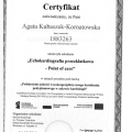Powiększ obraz: certificate 3