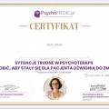 Powiększ obraz: certificate 11