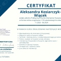 Powiększ obraz: certificate 1