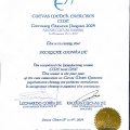 Powiększ obraz: certificate 1