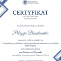 Powiększ obraz: certificate 17