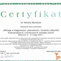 Powiększ obraz: certificate 6