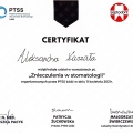 Powiększ obraz: certificate 2