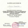 Powiększ obraz: certificate 3