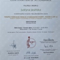 Powiększ obraz: certificate 20
