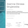 Powiększ obraz: certificate 5