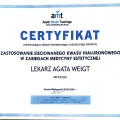 Powiększ obraz: certificate 11
