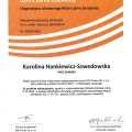 Powiększ obraz: certificate 6