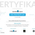 Powiększ obraz: certificate 4
