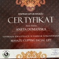 Powiększ obraz: certificate 5