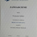 Powiększ obraz: certificate 6