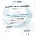 Powiększ obraz: certificate 14