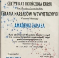 Powiększ obraz: certificate 43