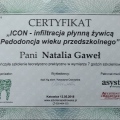Powiększ obraz: certificate 2