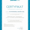 Powiększ obraz: certificate 3