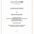 Powiększ obraz: certificate 7