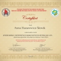 Powiększ obraz: certificate 2