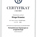 Powiększ obraz: certificate 3