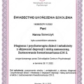 Powiększ obraz: certificate 6