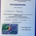 Powiększ obraz: certificate 4