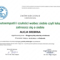 Powiększ obraz: certificate 7