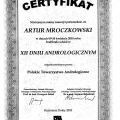 Powiększ obraz: certificate 3