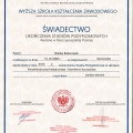Powiększ obraz: certificate 1