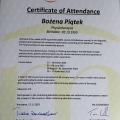 Powiększ obraz: certificate 6