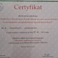 Powiększ obraz: certificate 62
