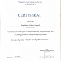 Powiększ obraz: certificate 12