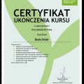 Powiększ obraz: certificate 12