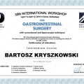 Powiększ obraz: certificate 4