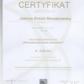 Powiększ obraz: certificate 7