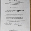 Powiększ obraz: certificate 3