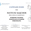 Powiększ obraz: certificate 13