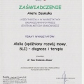 Powiększ obraz: certificate 48