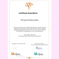 Powiększ obraz: certificate 3