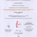 Powiększ obraz: certificate 9