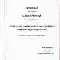 Powiększ obraz: certificate 11