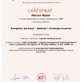Powiększ obraz: certificate 15