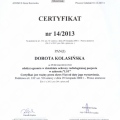 Powiększ obraz: certificate 1
