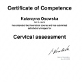 Powiększ obraz: certificate 8