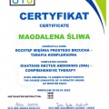 Powiększ obraz: certificate 6