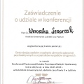Powiększ obraz: certificate 2