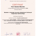 Powiększ obraz: certificate 21