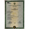 Powiększ obraz: certificate 10