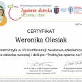 Powiększ obraz: certificate 9